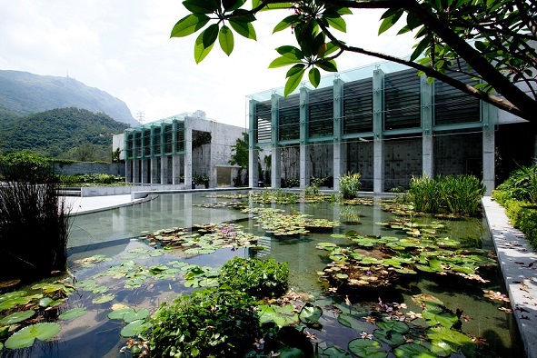 C06 service hall_lily pond