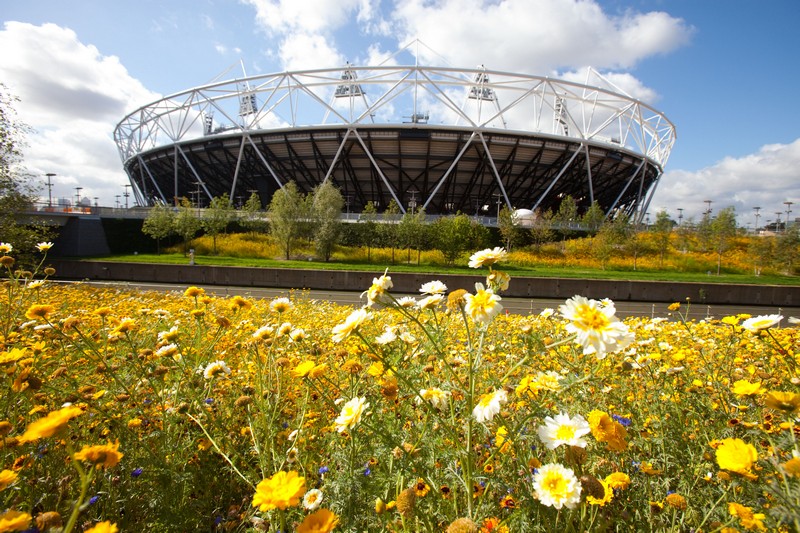 Parkland's in bloom